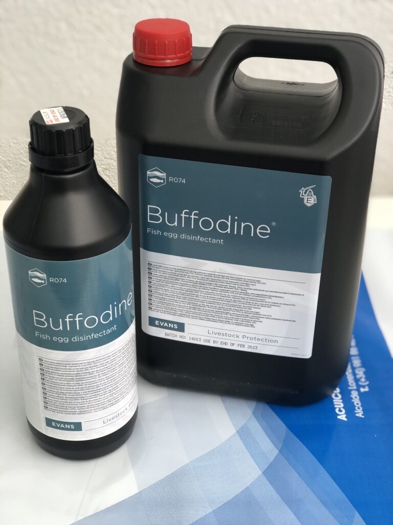 Buffodine