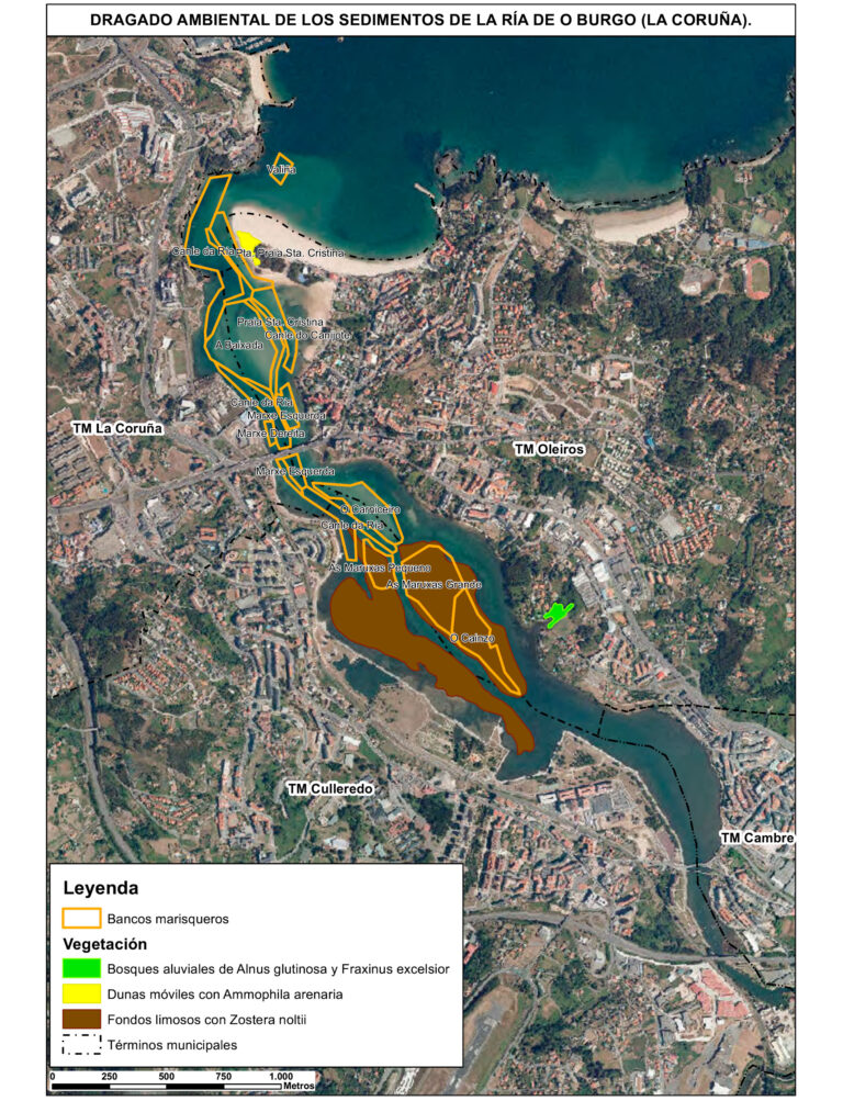 A lama da Ría do Burgo, Chanel nº 5