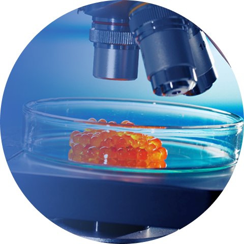 Acuicultura y nutricion de galicia