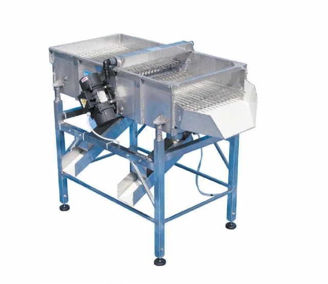 Clasificadora de moluscos