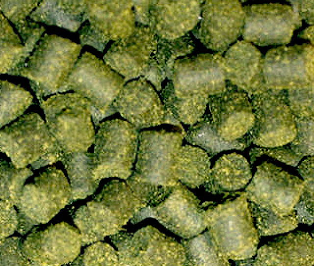 Dietas acuícolas a partir de ingredientes y subproductos locales