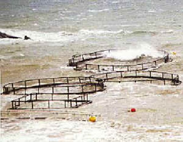 Diseño de instalaciones