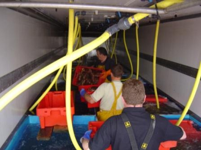 Dietas acuícolas a partir de ingredientes y subproductos locales