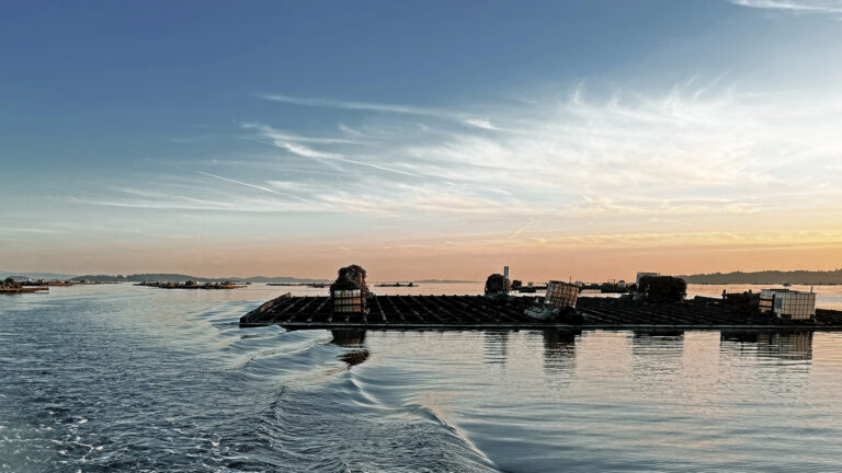 Watermaster®  Una herramienta única para todos los trabajos en ríos, riberas y litoral