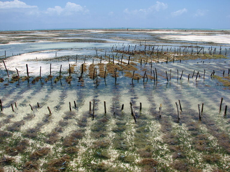 Updates on the ECOPEMER Project