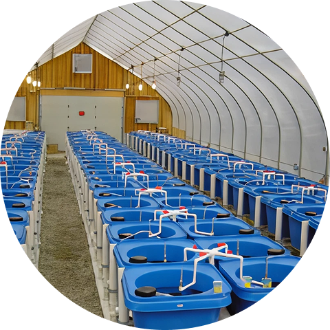 Gestión de producción