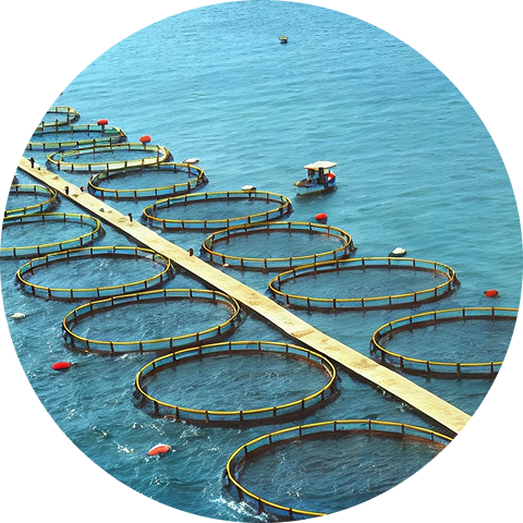 Gestión de producción